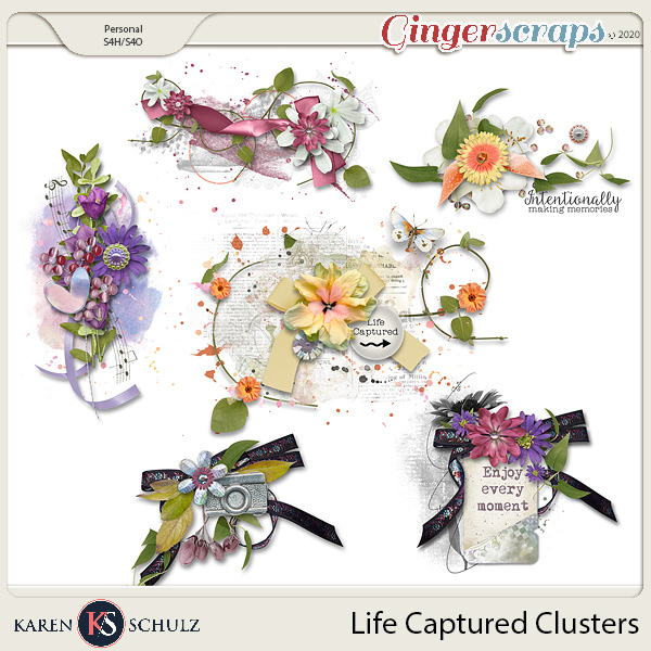 Life Captured Clusters by Karen Schulz  