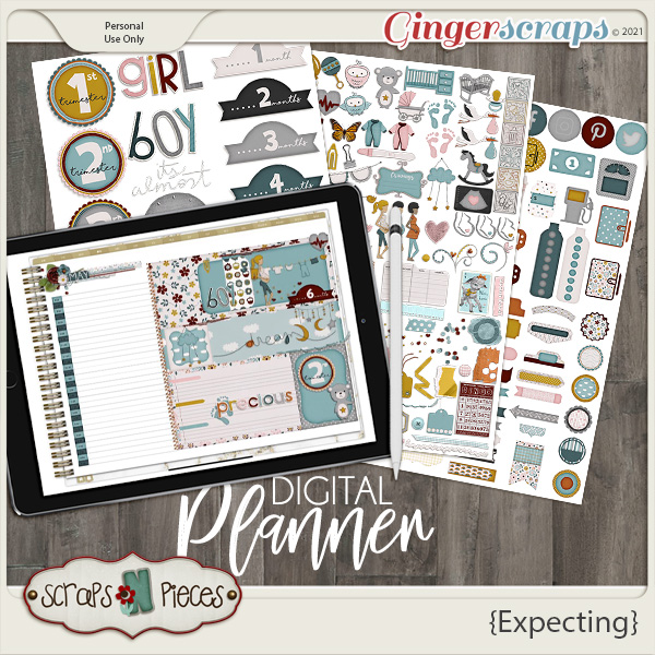 Expecting Planner Pieces - Scraps N Pieces