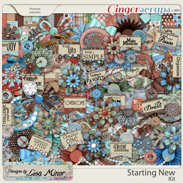 Starting New from Designs by Lisa Minor