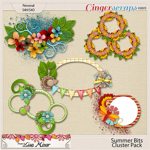 Summer Bits Cluster Pack from Designs by Lisa Minor