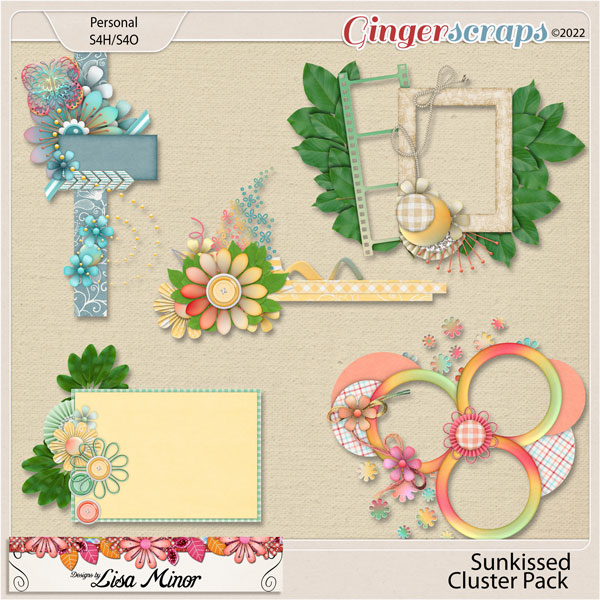 Sunkissed Cluster Pack from Designs by Lisa Minor