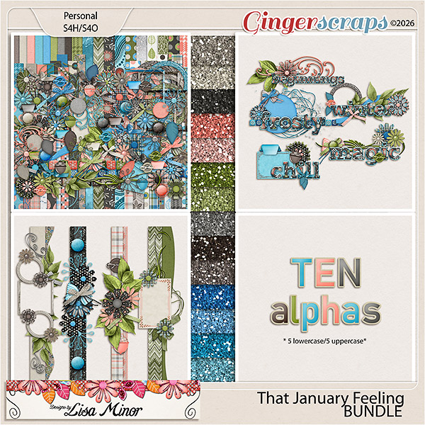 That January Feeling BUNDLE from Designs by Lisa Minor