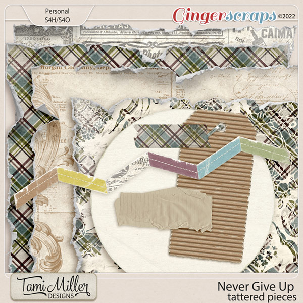 Never Give Up Torn Pieces by Tami Miller Designs