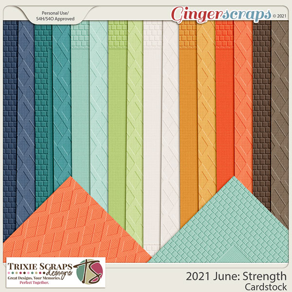 2021 June: Strength Cardstock by North Meets South Studios