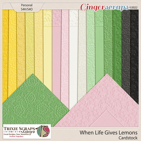 When Life Gives Lemons Cardstock by North Meets South Studios