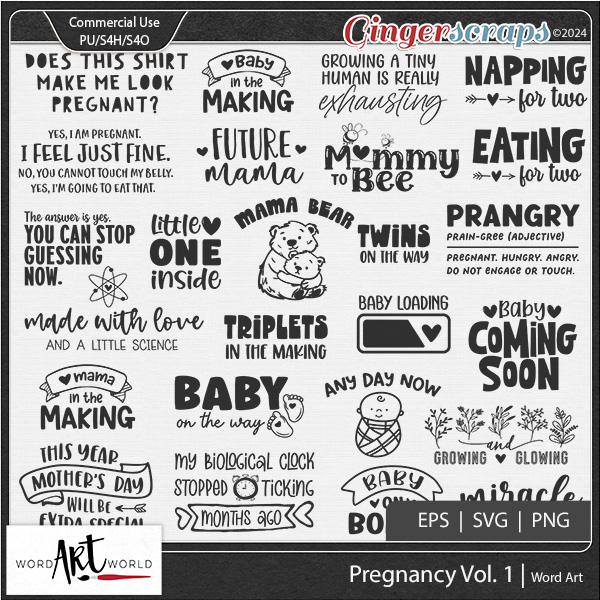 Pregnancy Vol 1 Word Art 