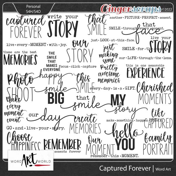 Captured Forever Word Art