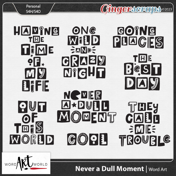 Never a Dull Moment Word Art