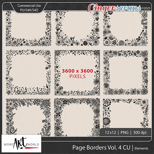 Page Borders Vol 4 CU OK