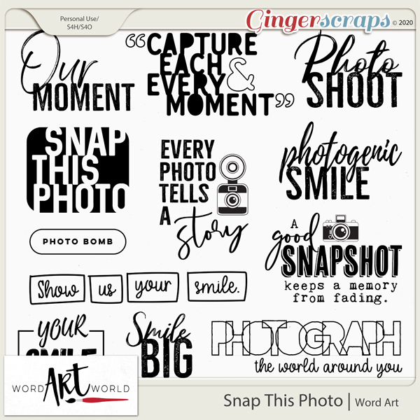 Snap This Photo Word Art