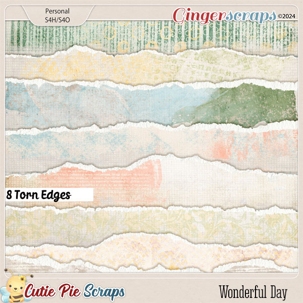Wonderful Day Torn Edges