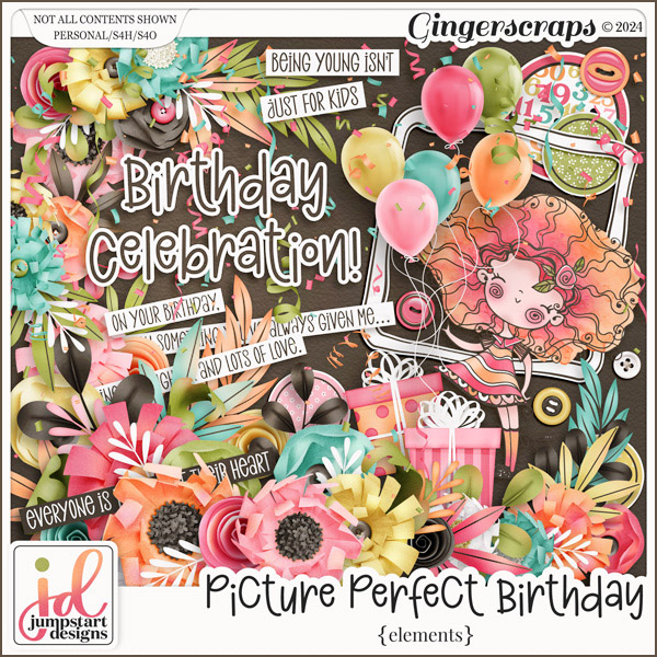 Picture Perfect Birthday {Elements}