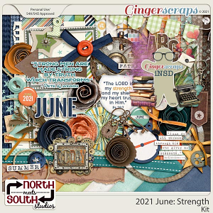 2021 June: Strength Full Kit by North Meets South Studios