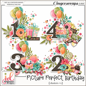 Picture Perfect Birthday {Clusters} #1