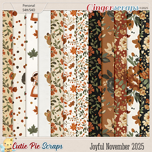 Joyful November 2025 Extra Papers