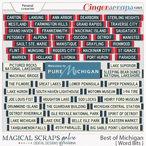Best of Michigan (word bits)