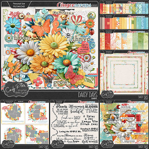 Daisy Days [Bundle] by Cindy Ritter