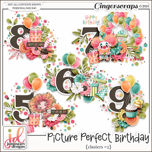 Picture Perfect Birthday {Clusters} #2