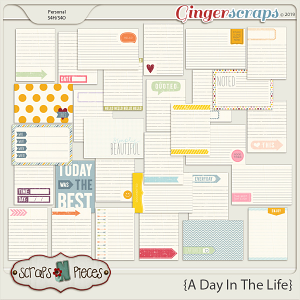A Day In The Life Journal Cards by Scraps N Pieces 