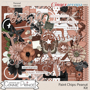 Paint Chips Peanut - Kit by Connie Prince