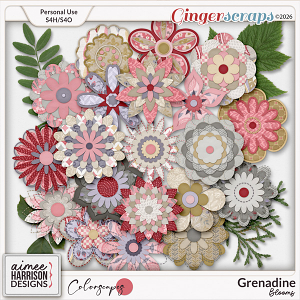 Grenadine Blooms by Aimee Harrison