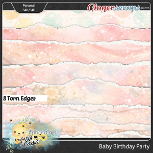 Baby Birthday Party Torn Edges