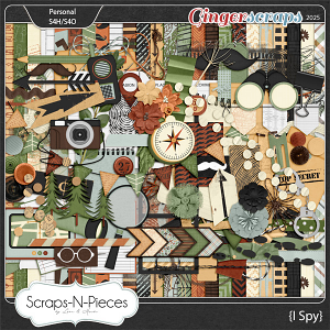 I Spy Kit by Scraps N Pieces