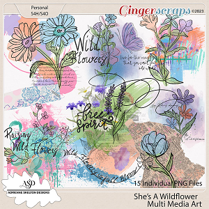 She's A Wildflower Multi Media Art- By Adrienne Skelton Design  