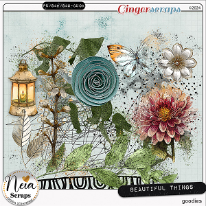 Beautiful Things - Goodies - by Neia Scraps