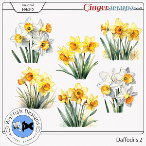 Daffodils Set 2 by Wetfish Designs 