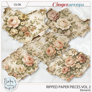 CU Ripped Paper Pieces Vol 2 by Ilonka's Designs