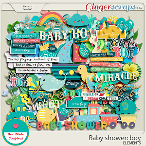 Baby shower: boy - elements