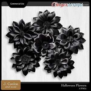 Halloween Flowers CU by J. Conlon and Sons