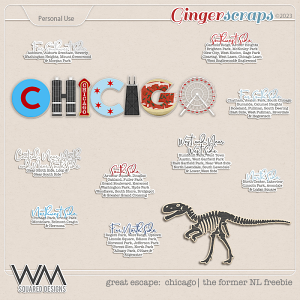 Great Escape: Chicago | The Former Freebie
