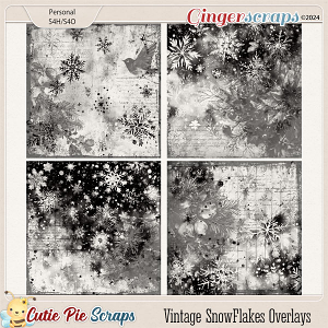 Vintage SnowFlakes Overlays-01 Vintage SnowFlakes Overlays-01