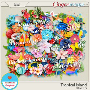 Tropical island - elements