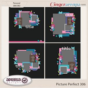 Picture Perfect 306 by Aprilisa Designs
