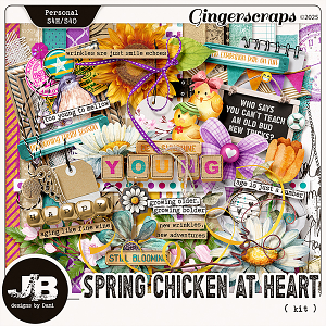 Spring Chicken At Heart Kit by JB Studio