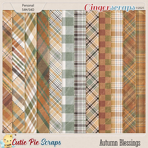 Autumn Blessings Plaids Papers