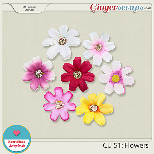 CU 51 - Flowers