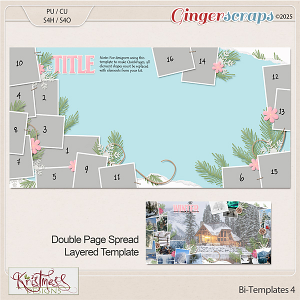 Bi-Templates ~ Set 4 Bi-Templates ~ Set 4