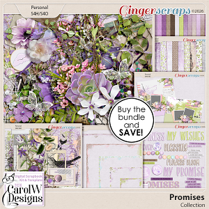 Promises-Collection