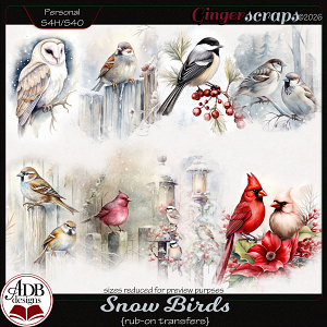 Snow Birds Rub-On Transfers by ADB Designs