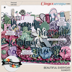 Beautiful Everyday - Elements by Lisa Rosa Designs