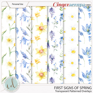 First Signs Of Spring Transparent Patterned Overlays by Ilonka's Designs