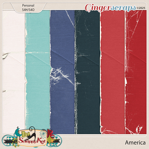 America Torn Papers by The Scrappy Kat