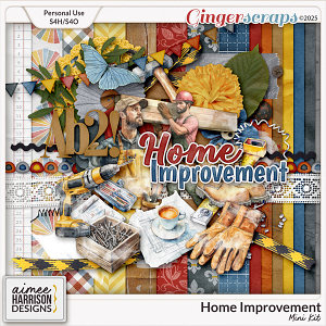 Home Improvement Mini Kit by Aimee Harrison