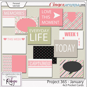 Project 365 - January 4x3 Pocket Cards by Scrapbookcrazy Creations