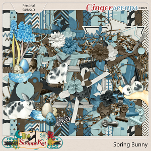 Spring Bunny by The Scrappy Kat