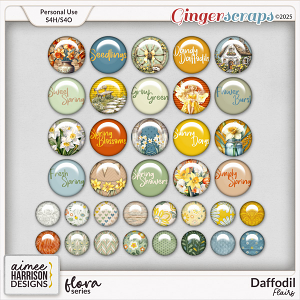 Daffodil Flairs by Aimee Harrison